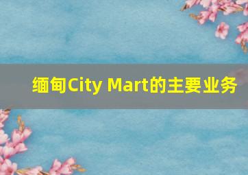 缅甸City Mart的主要业务